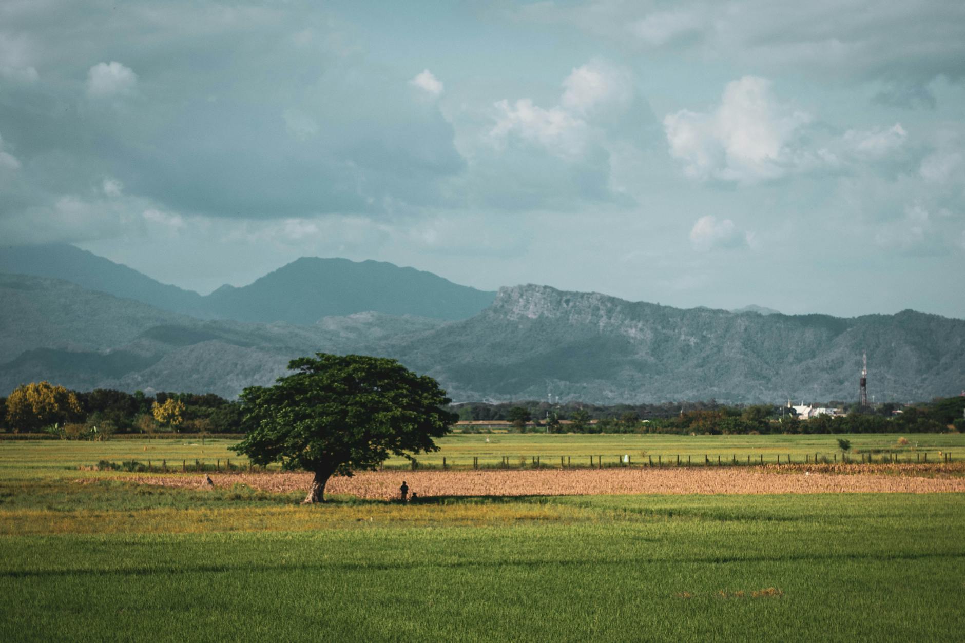 Ayiti 10