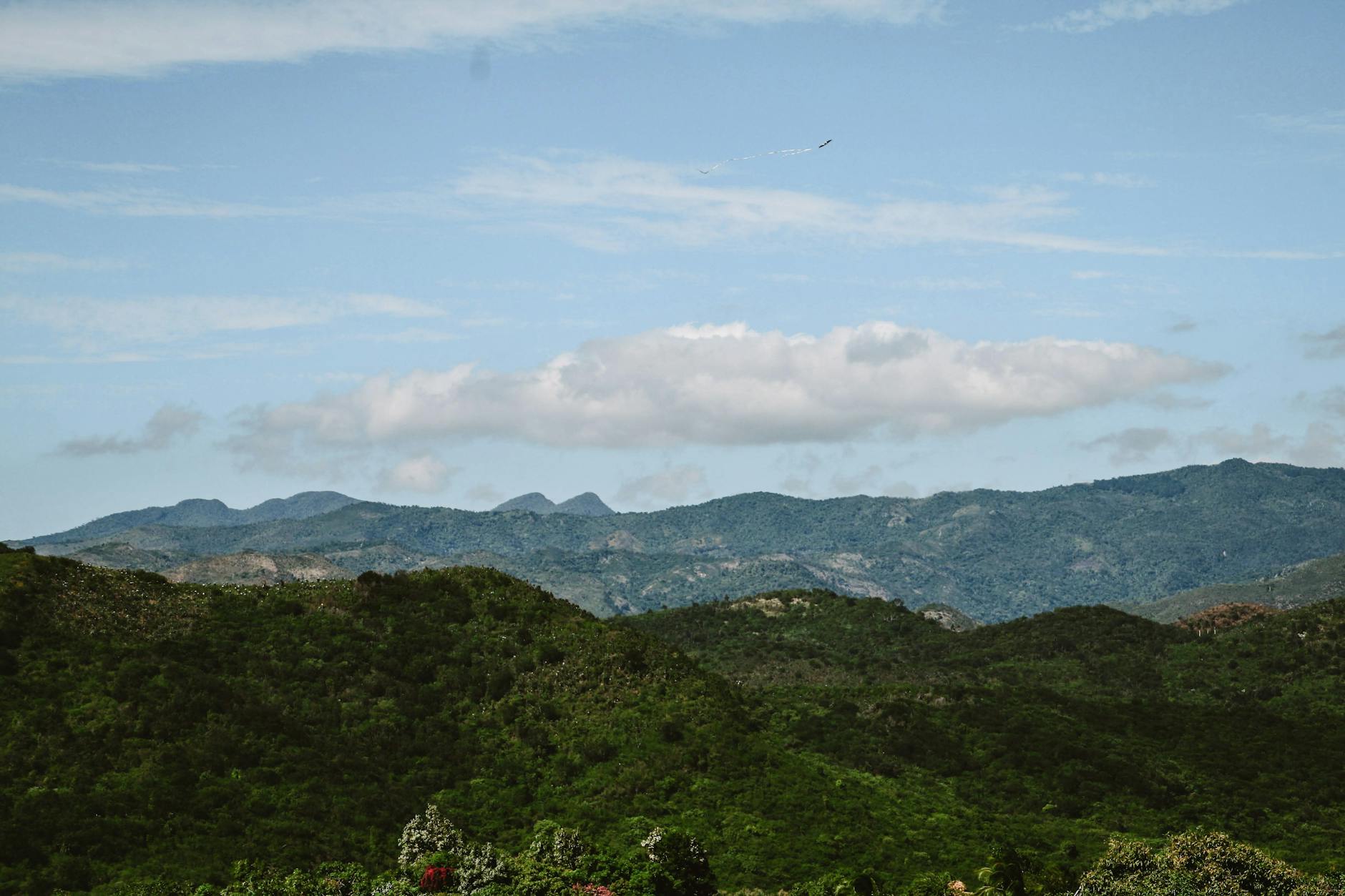 Ayiti 19