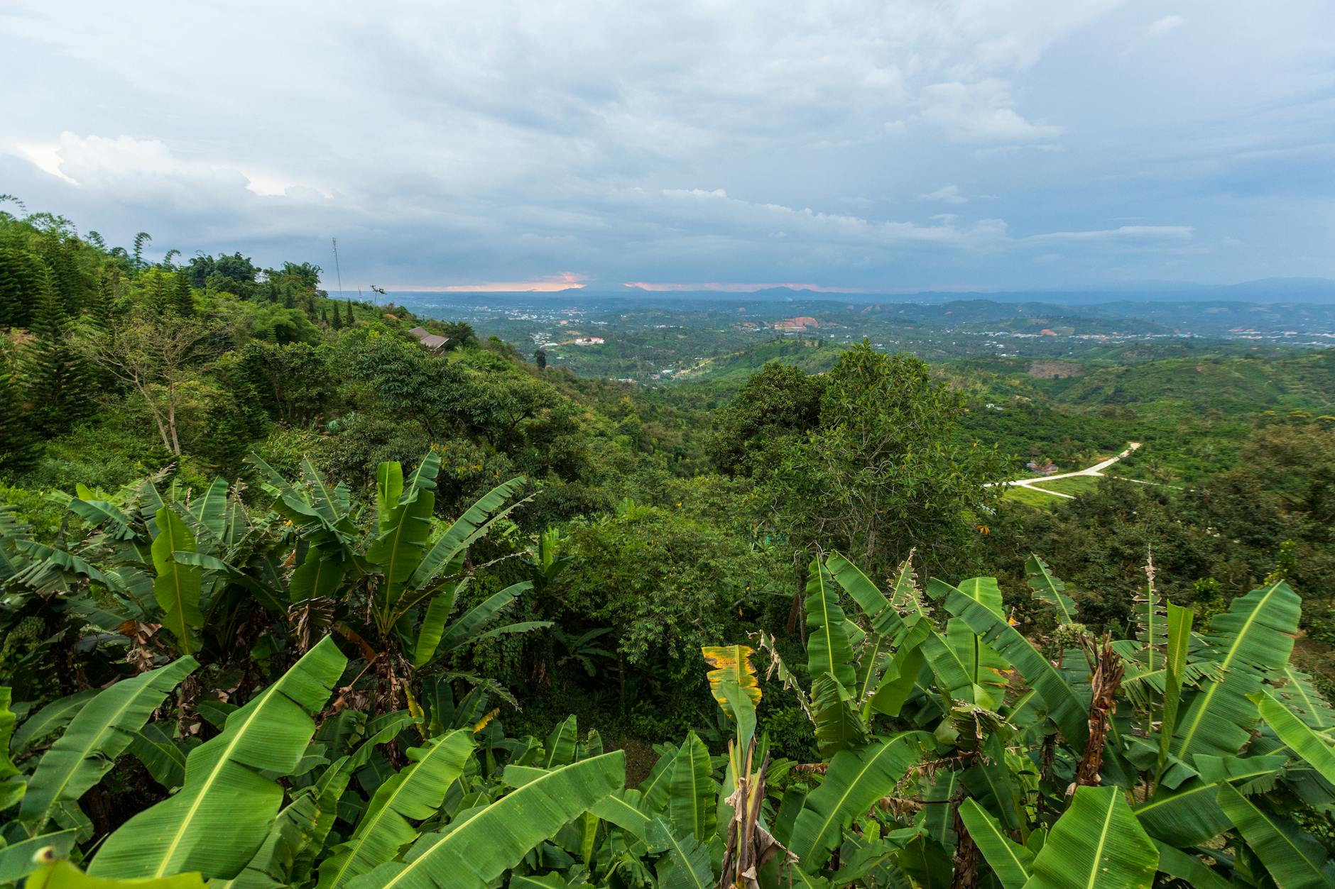 Ayiti 25
