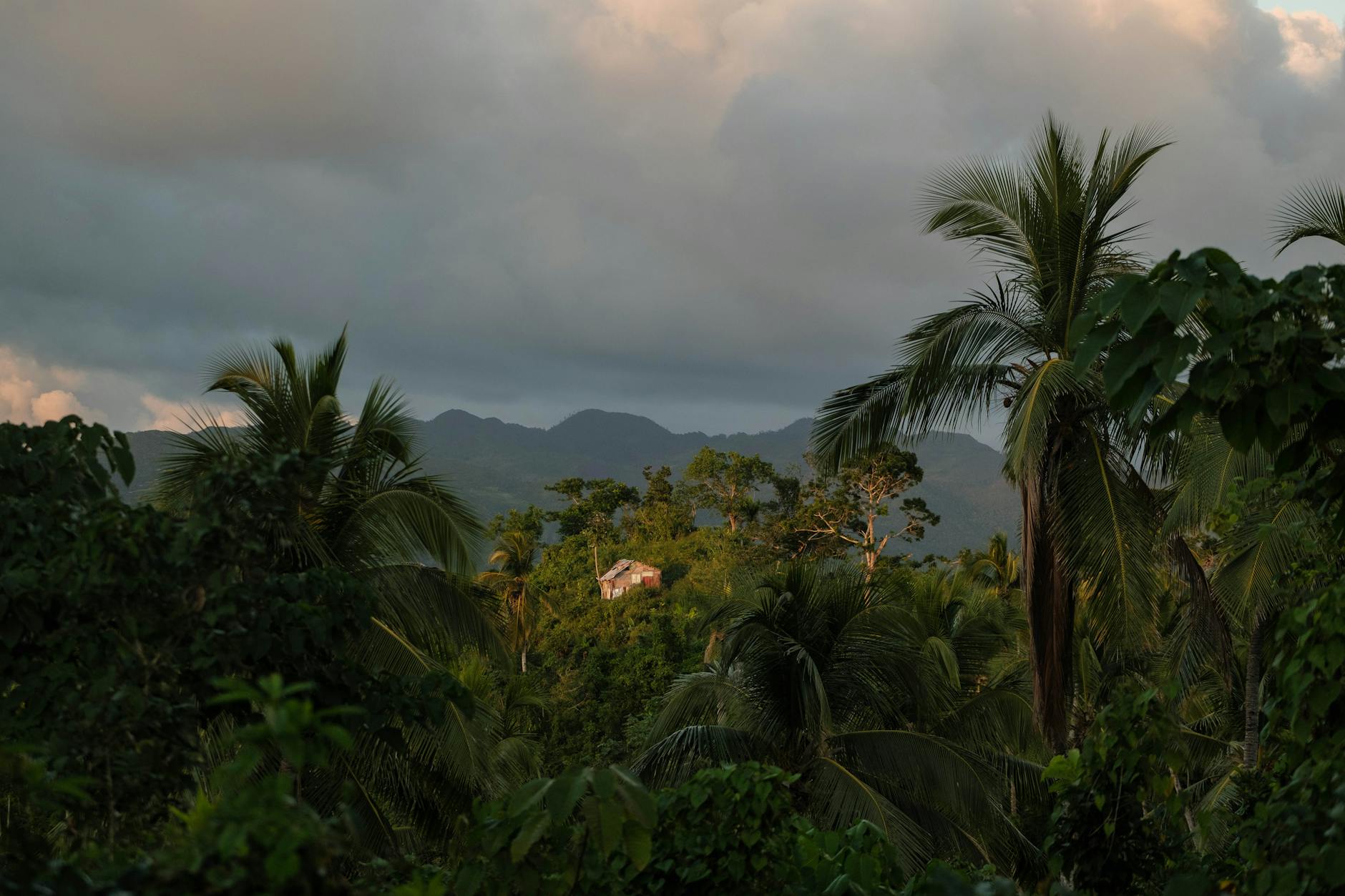 Ayiti 31