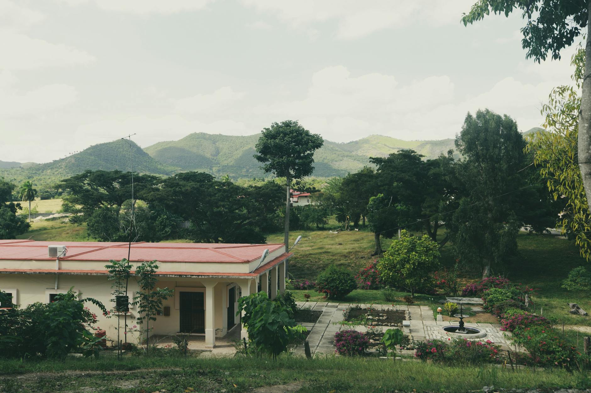 Ayiti 33