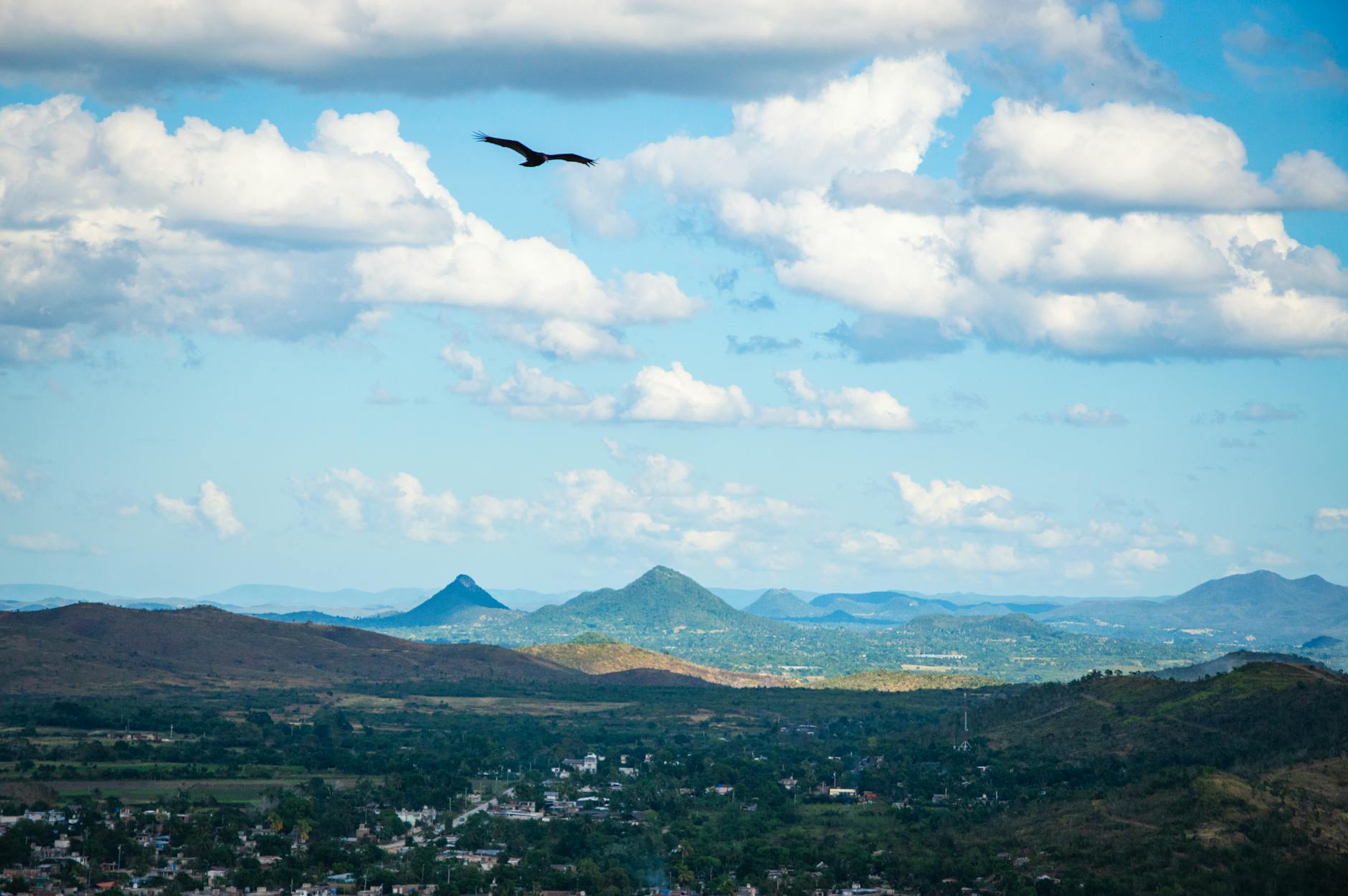 Ayiti 36