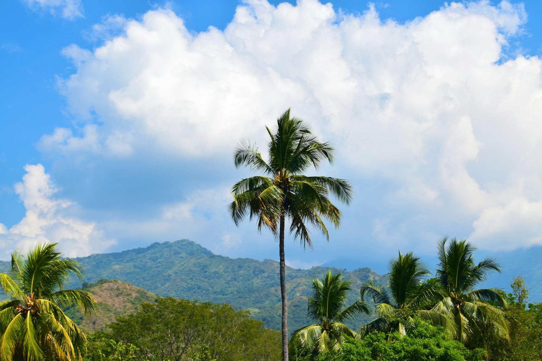 Ayiti 37