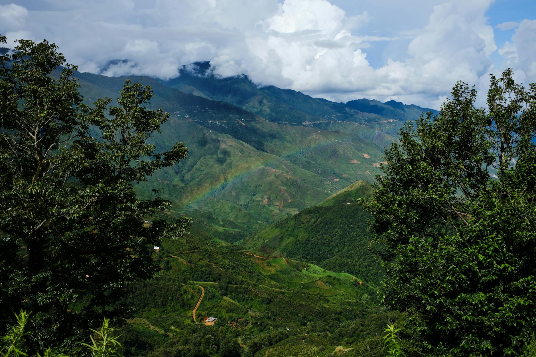 Ayiti 42
