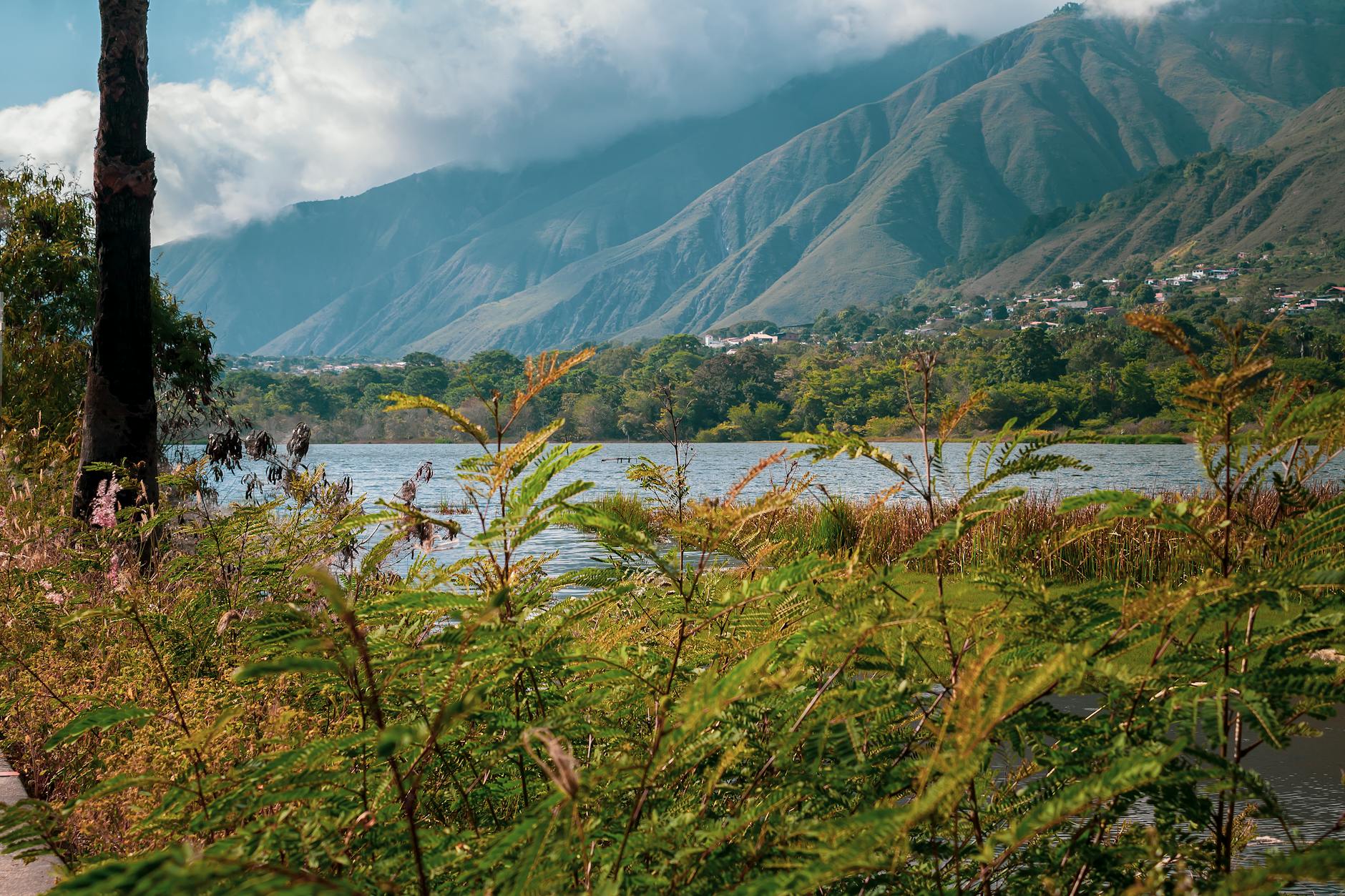 Ayiti 44