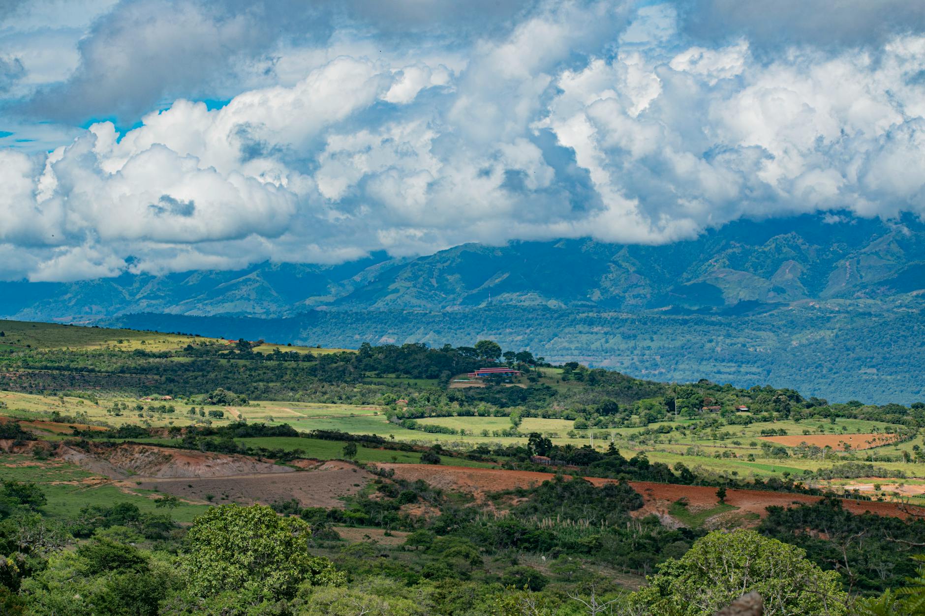 Ayiti 54