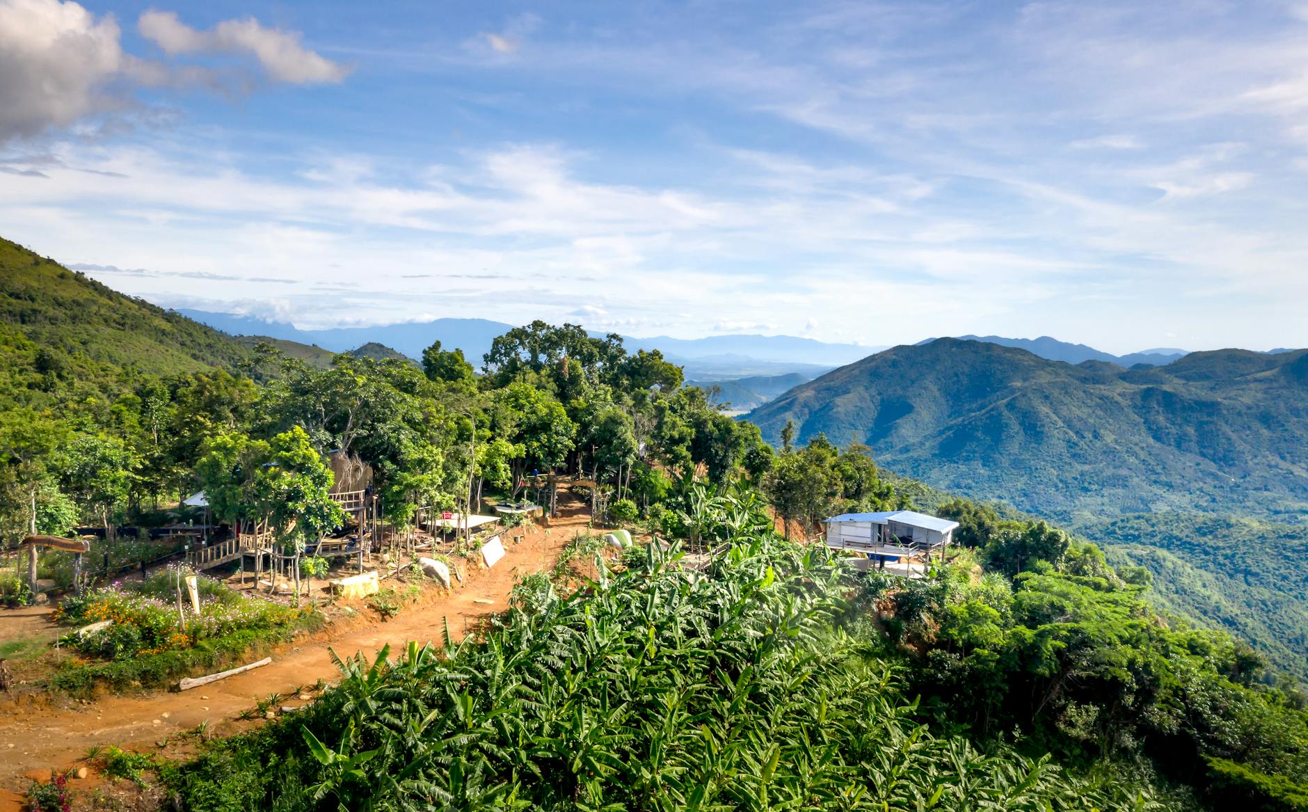 Ayiti 55