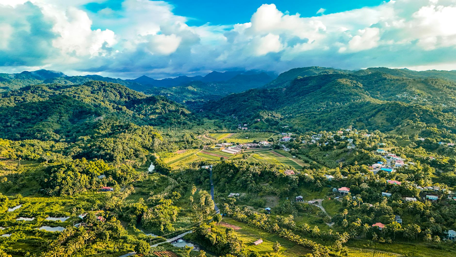 Ayiti 59