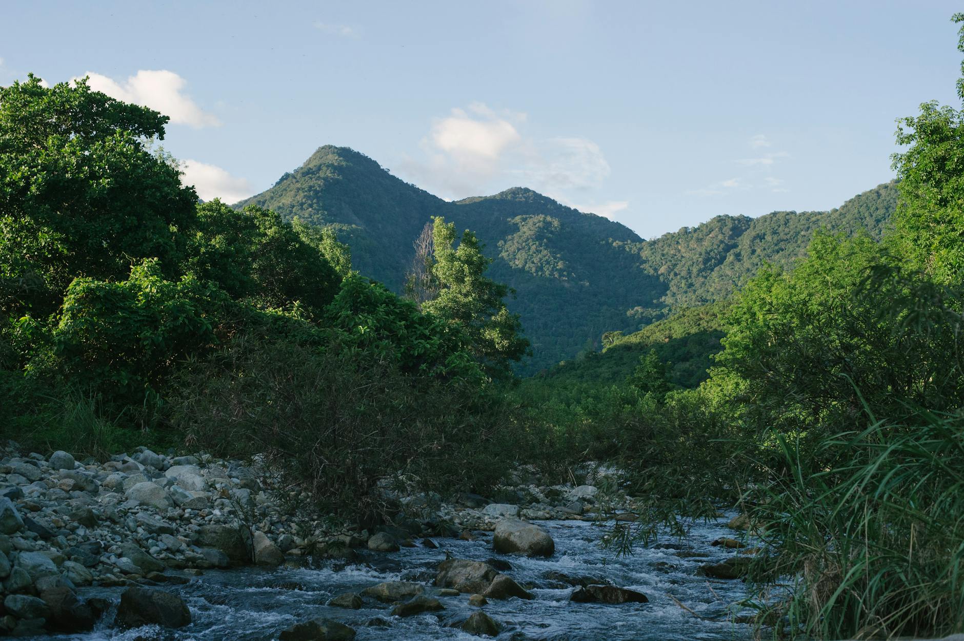 Ayiti 60