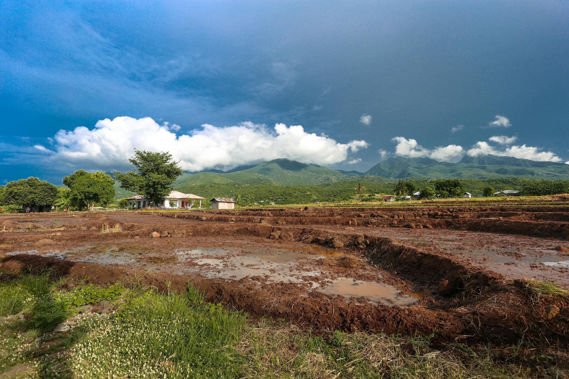 Ayiti 62