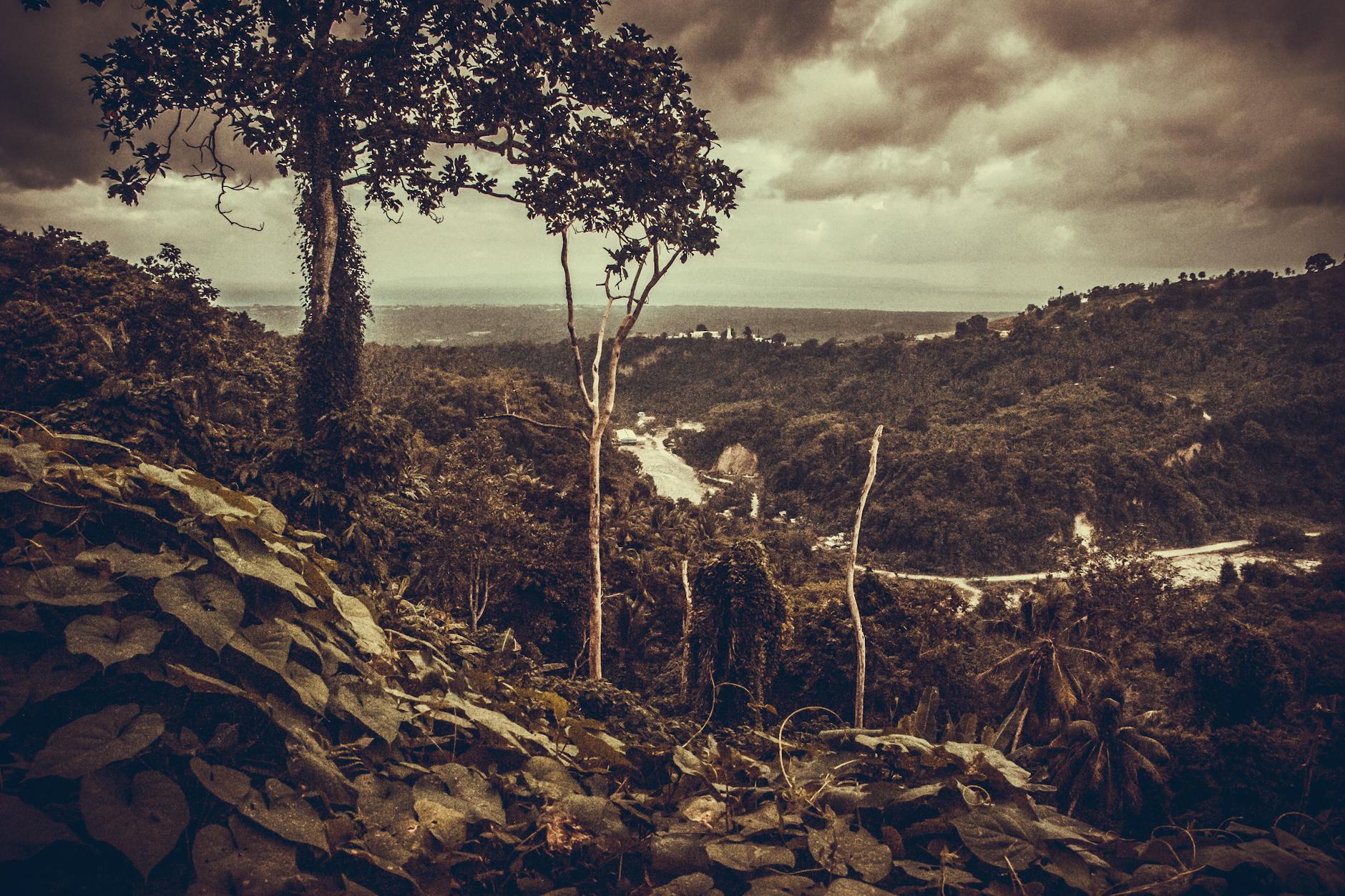 Ayiti 64