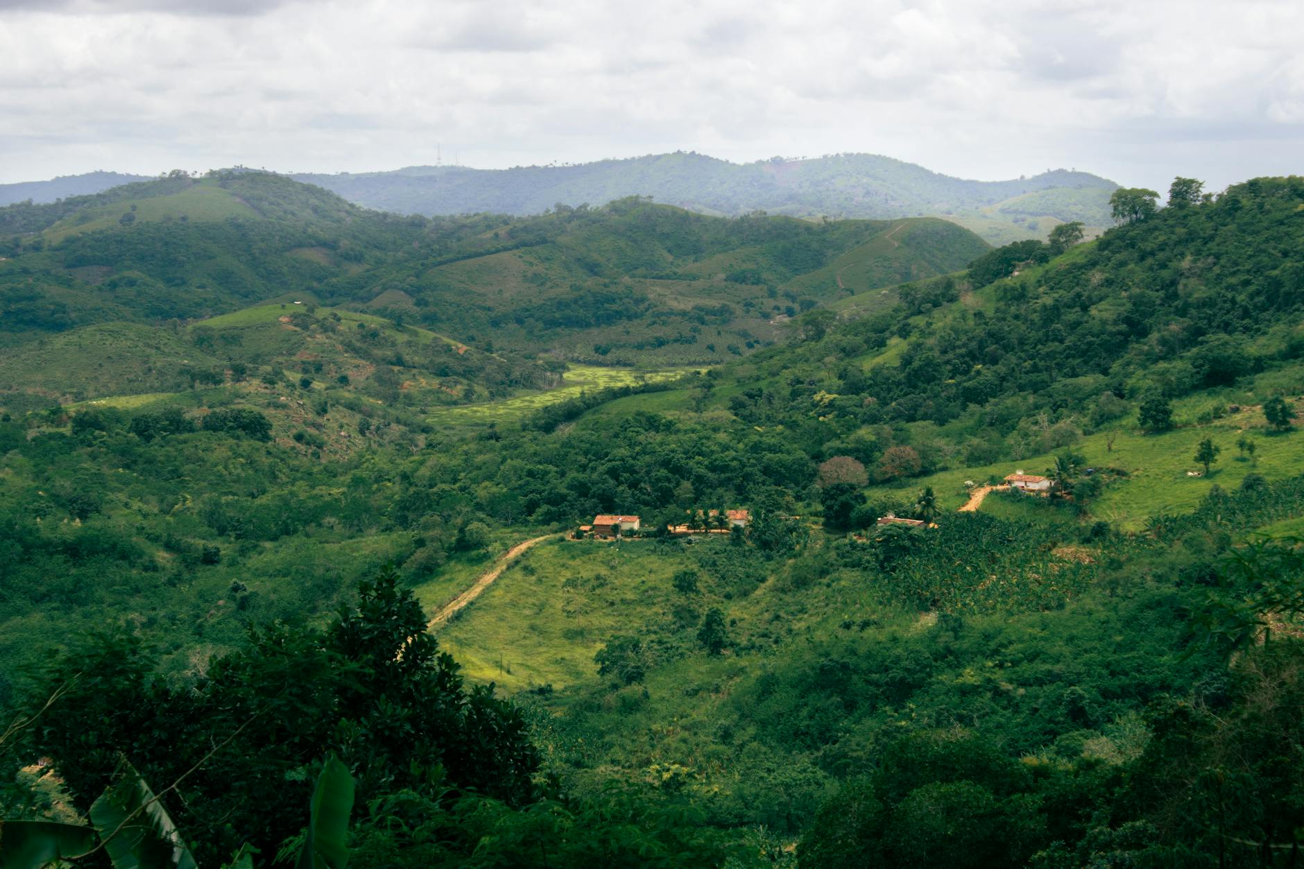 Ayiti 72
