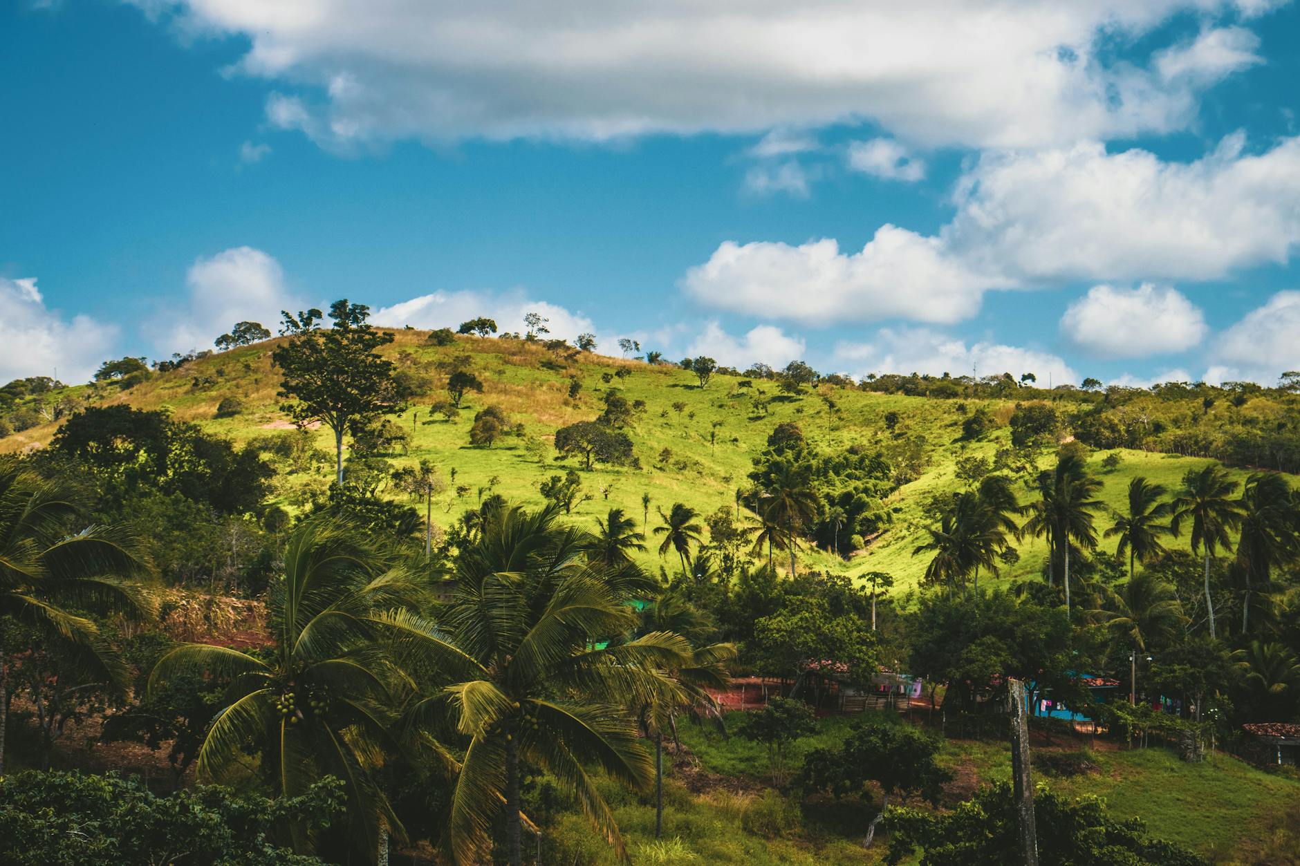 Ayiti 76