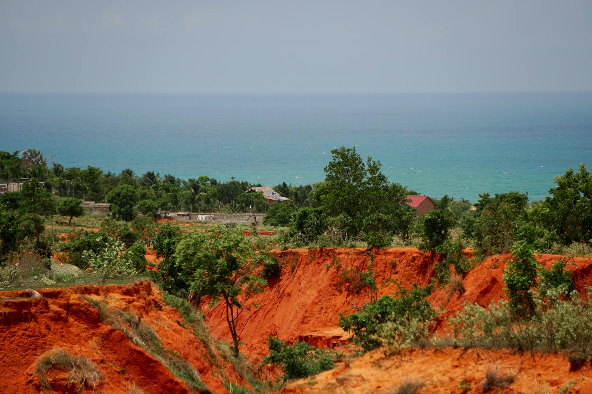Ayiti 84