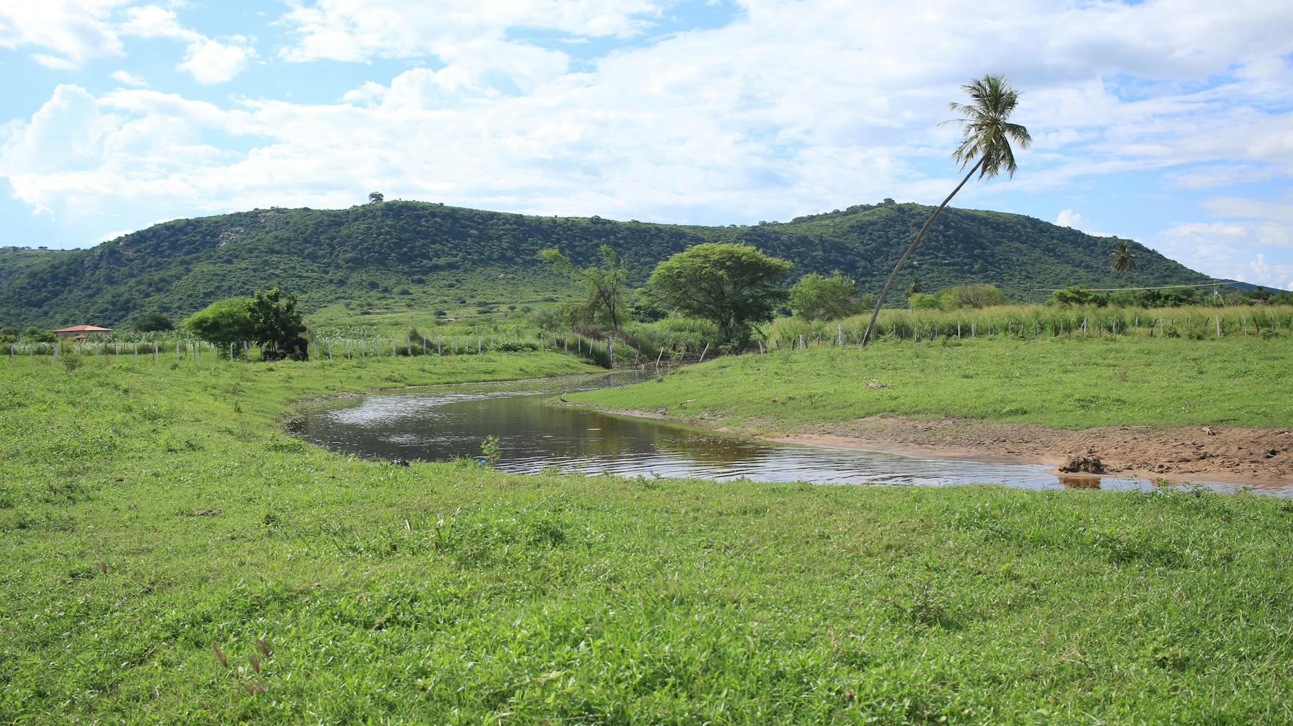 Ayiti 85