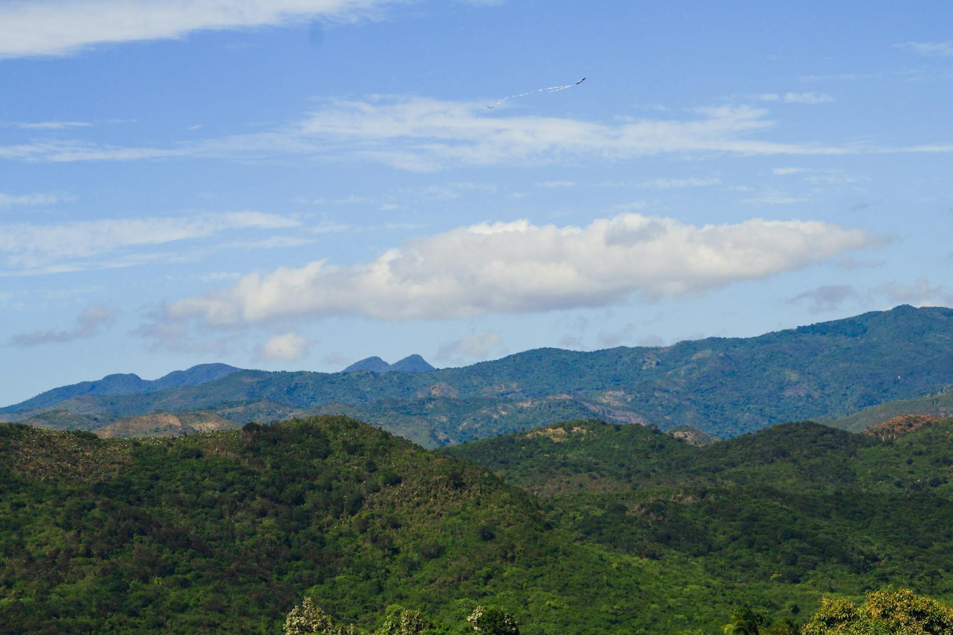 Ayiti 86