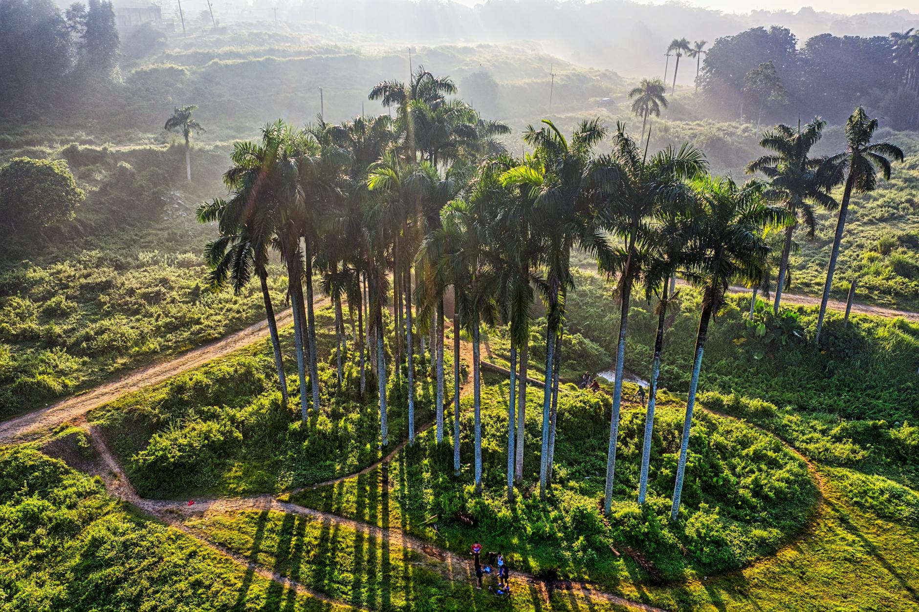 Ayiti 88