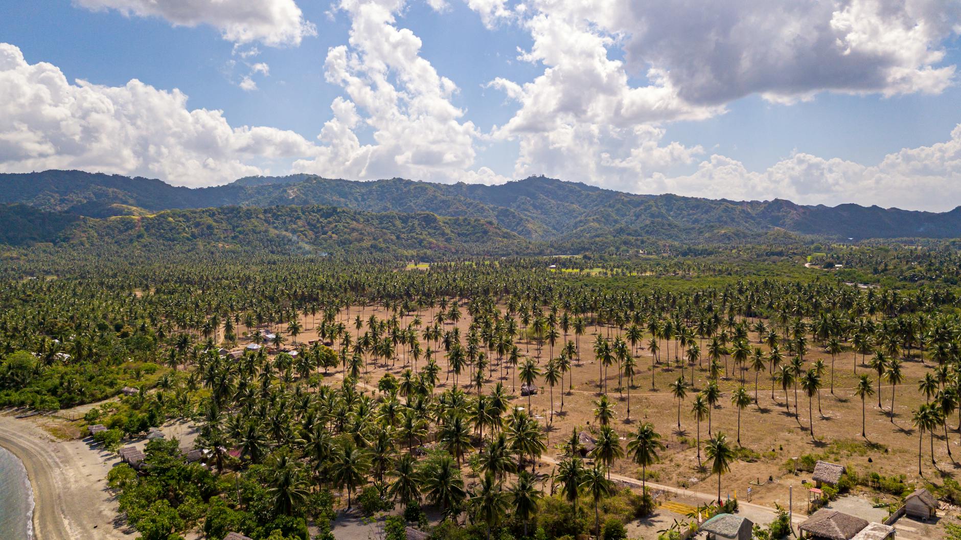 Ayiti 91