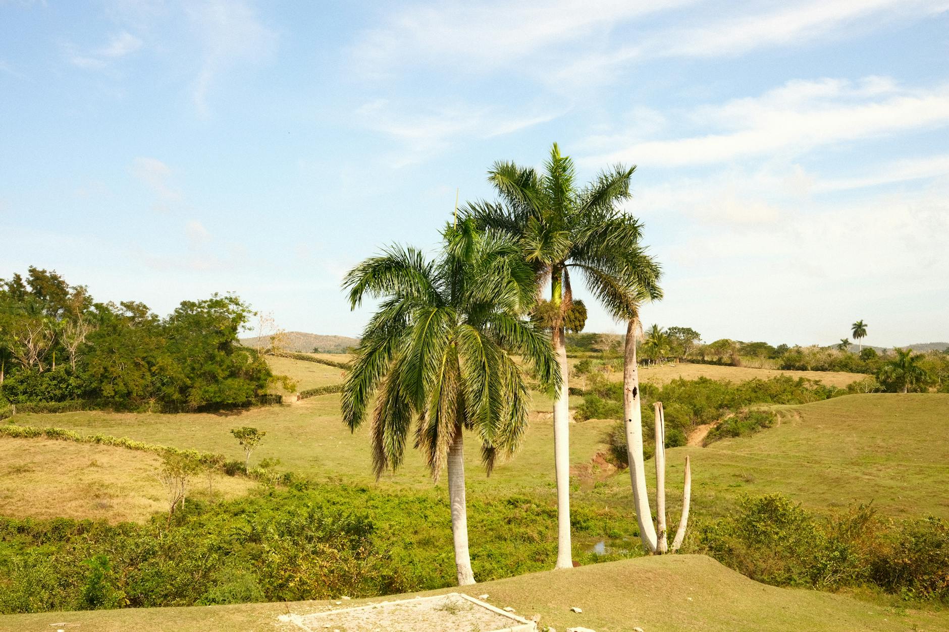 Ayiti 92
